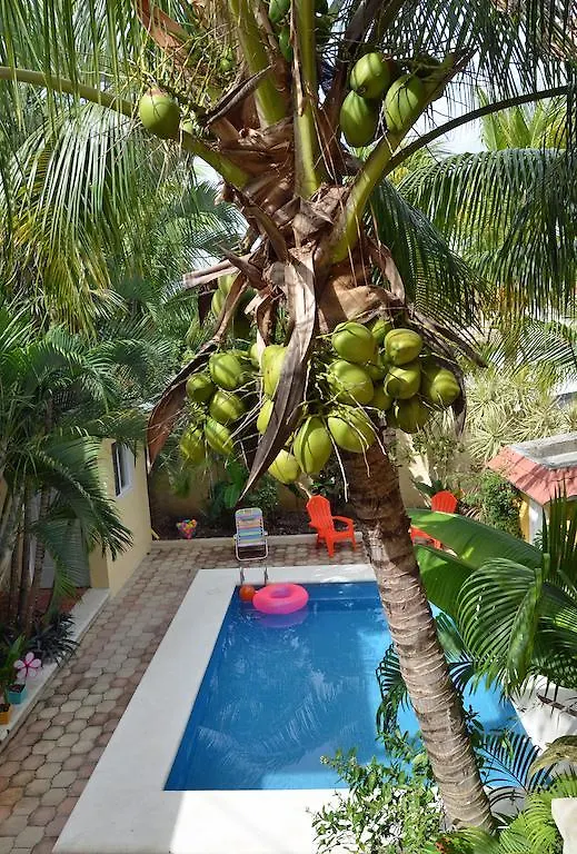 Tu Casa B&B Cozumel Bed & Breakfast